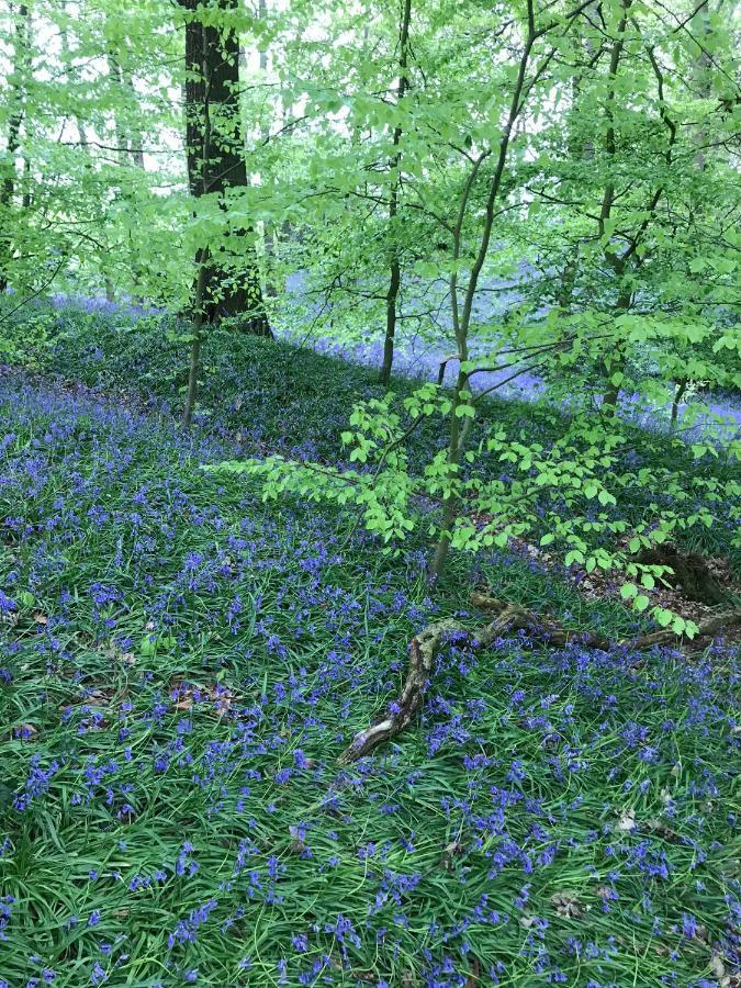 Bluebell Bell Tent The Roaches Upper Hulme Exteriér fotografie
