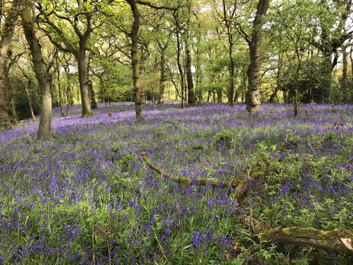 Bluebell Bell Tent The Roaches Upper Hulme Exteriér fotografie