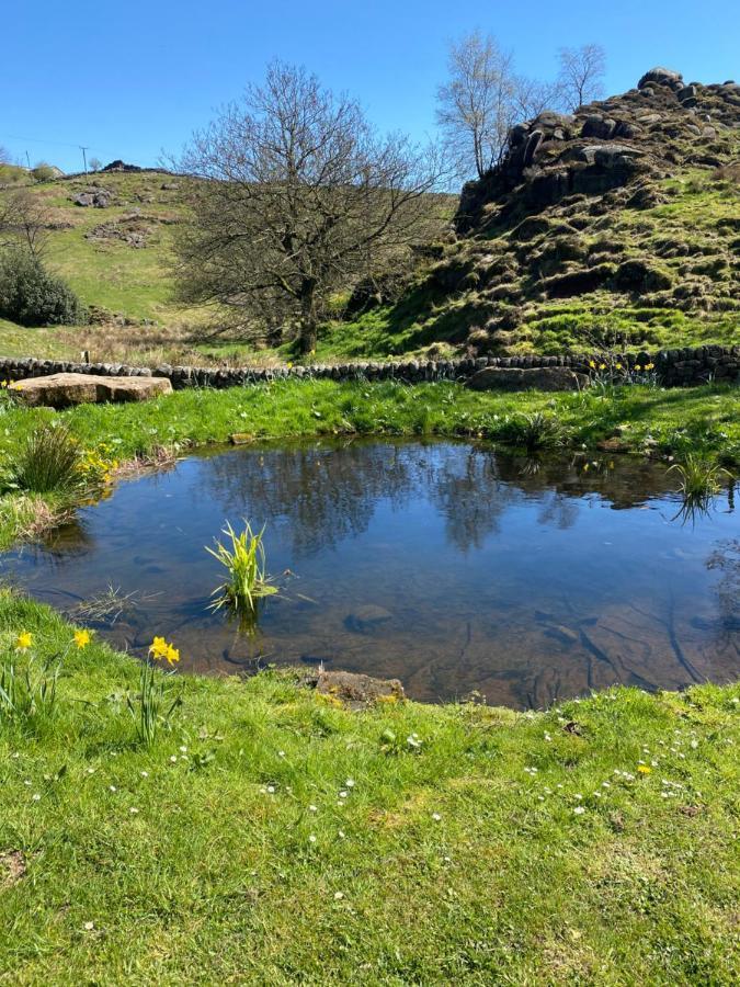 Bluebell Bell Tent The Roaches Upper Hulme Exteriér fotografie